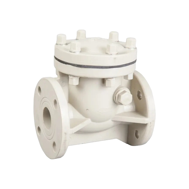 Swing Check Valve