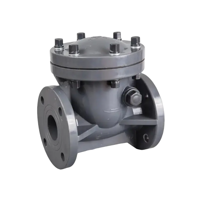 Swing Check Valve