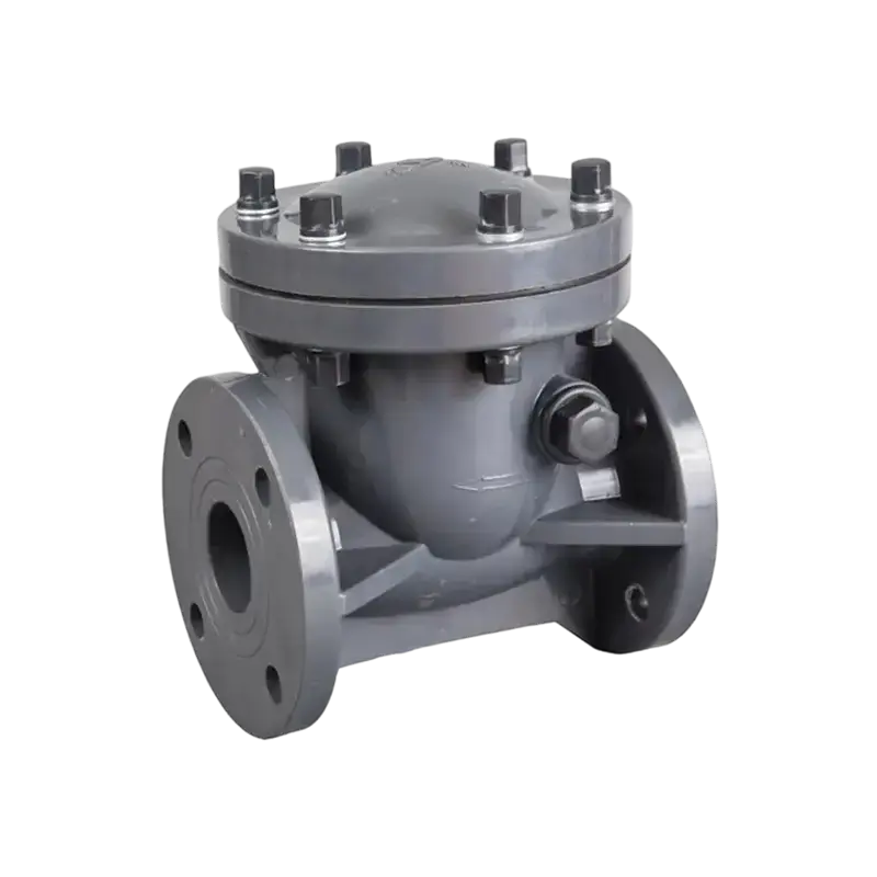 Check Valve